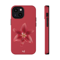 Lilium
